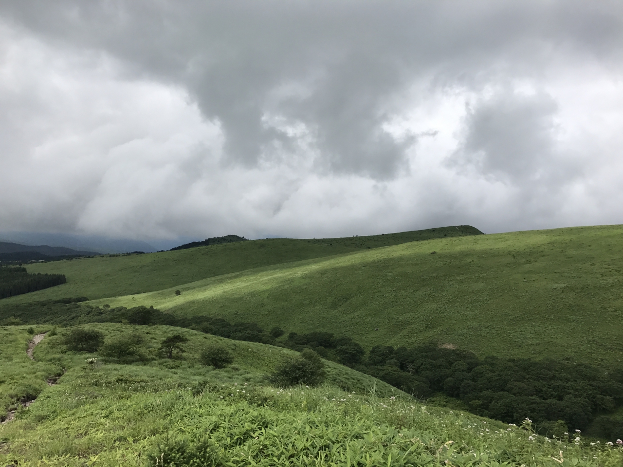 霧ヶ峰高原