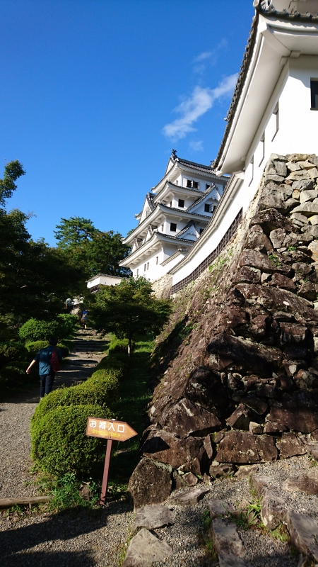 ちょっと郡上まで